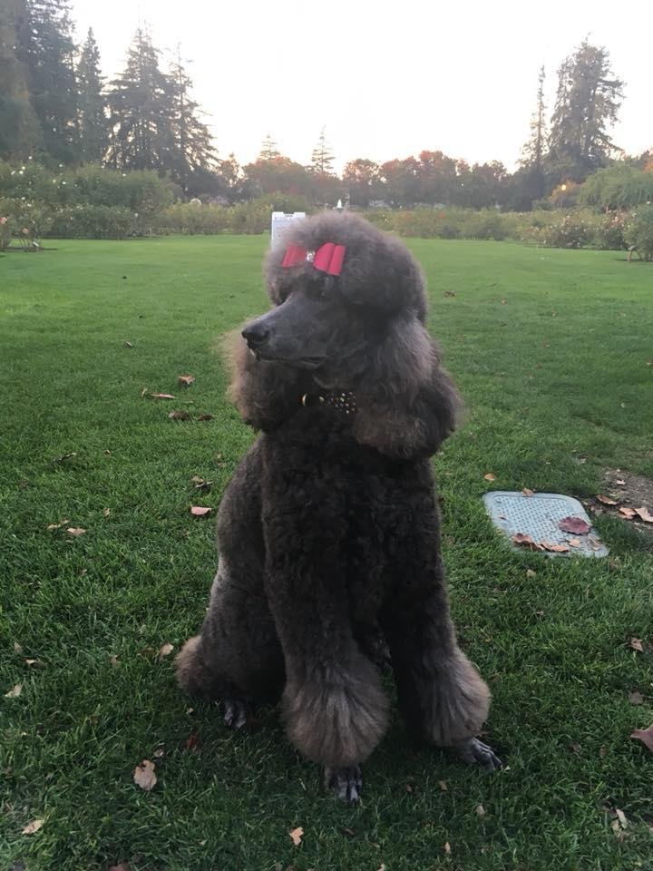 Belladonna got her groom on