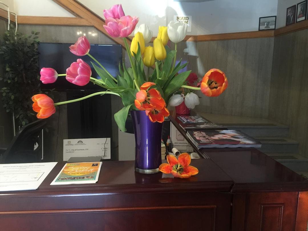 Mother's Day flowers still brightening my world.