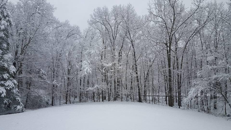 Chris Knopf's album, Mobile Uploads