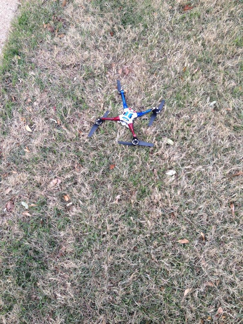 Landed in my yard this afternoon in meadow lakes nrh
