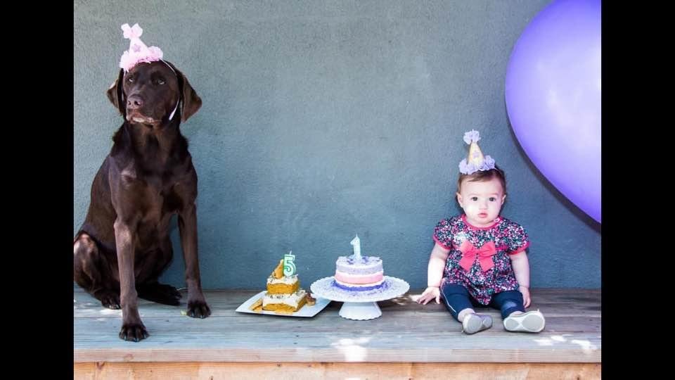 Too cute not to share with all; my great niece and her dog have the same birthday ❤️❤️❤️❤️❤️❤️❤️❤️❤️❤️❤️