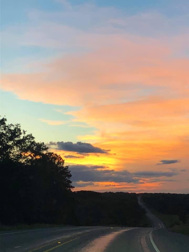 Carol Rice's album, Mobile uploads