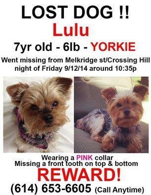 Still Missing Please keep looking!!!!