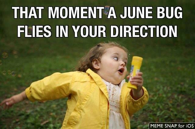 Rob Boyce's album, Timeline Photos