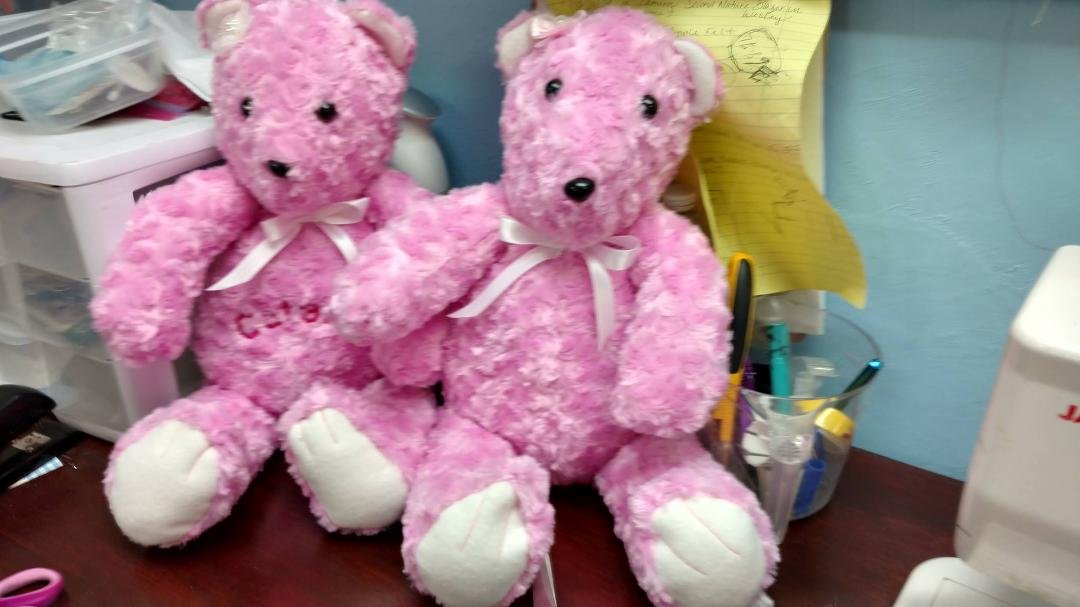 THESE bears are going to thier forever home in California