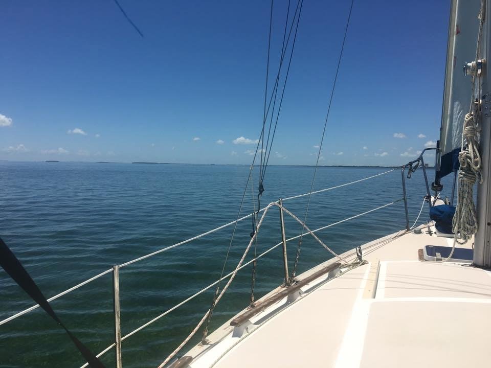 I went sailing er drifting on Wednesday.  A nice breeze when I went out but, it dropped to nothing so I came in under power.  When I got to the dock the wind picked up to about ten knots.  Go figure.  It was nice to get out
