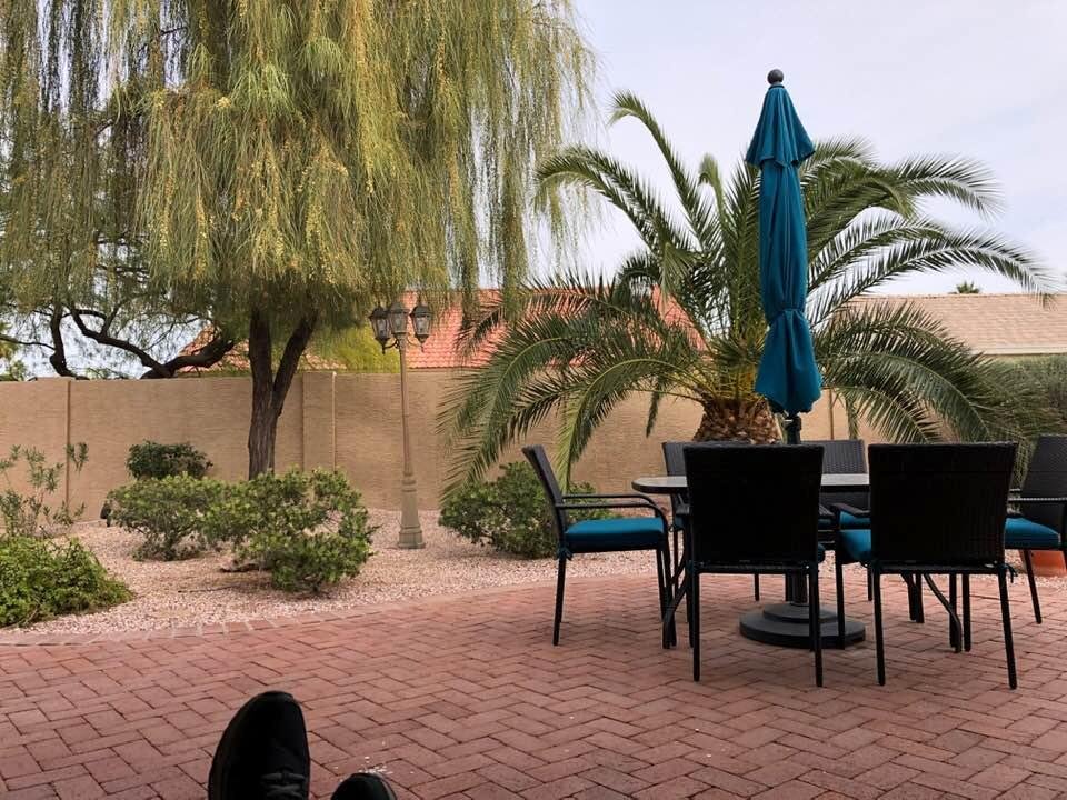 Just relaxing in the backyard today.🌴😎