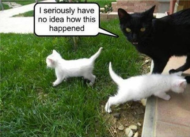 Jacki Russell's album, Timeline Photos