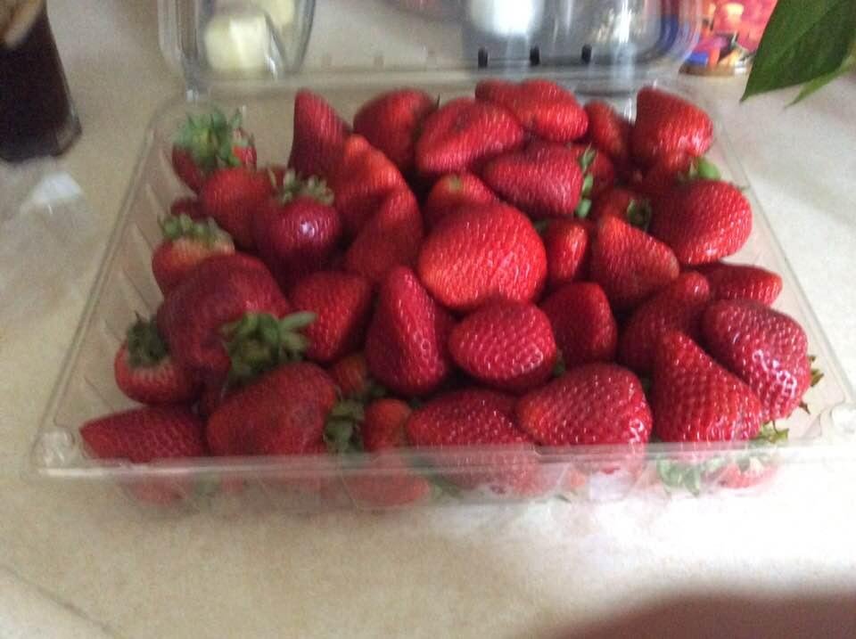 Rubarb, to pick and chop!  Jelly anyone?