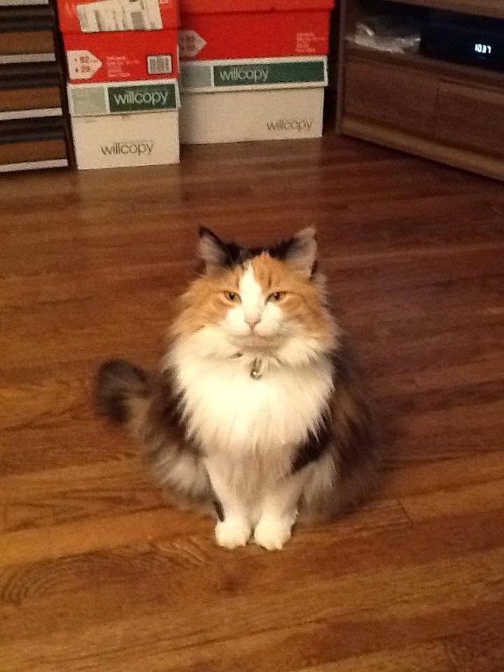 Enjoying "National Pet Day!"