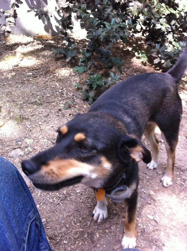 Jack Buffington's album, Mobile Uploads
