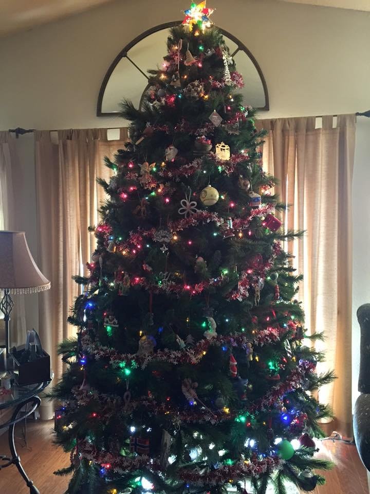 Kathy Dunn's album, Mobile Uploads