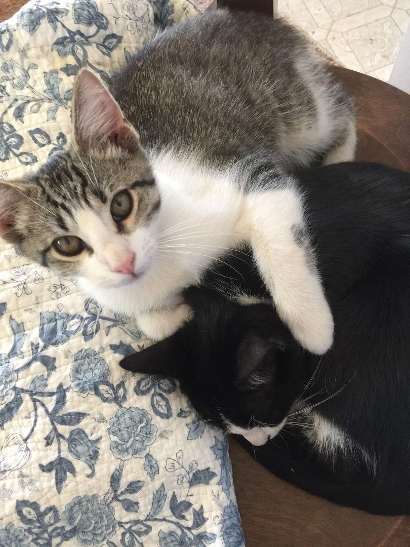 Old man and tuck