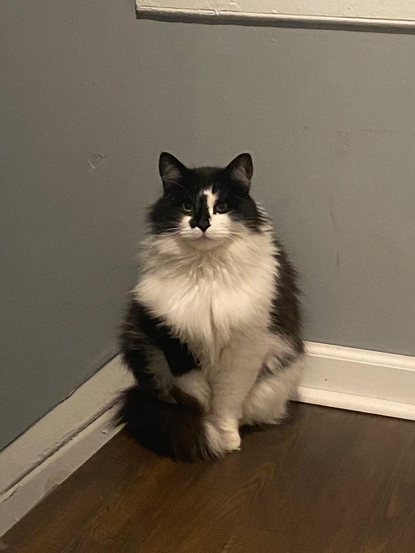 𝗙𝗿𝗶𝗱𝗮𝘆, 𝟵:𝟬𝟵 𝗽.𝗺.
Good evening to nobody, because Fran has opened the refrigerator again and is acting like it’s his.
At 9:09 p.m., I am seated directly in front of the open fridge door, staring into it with th