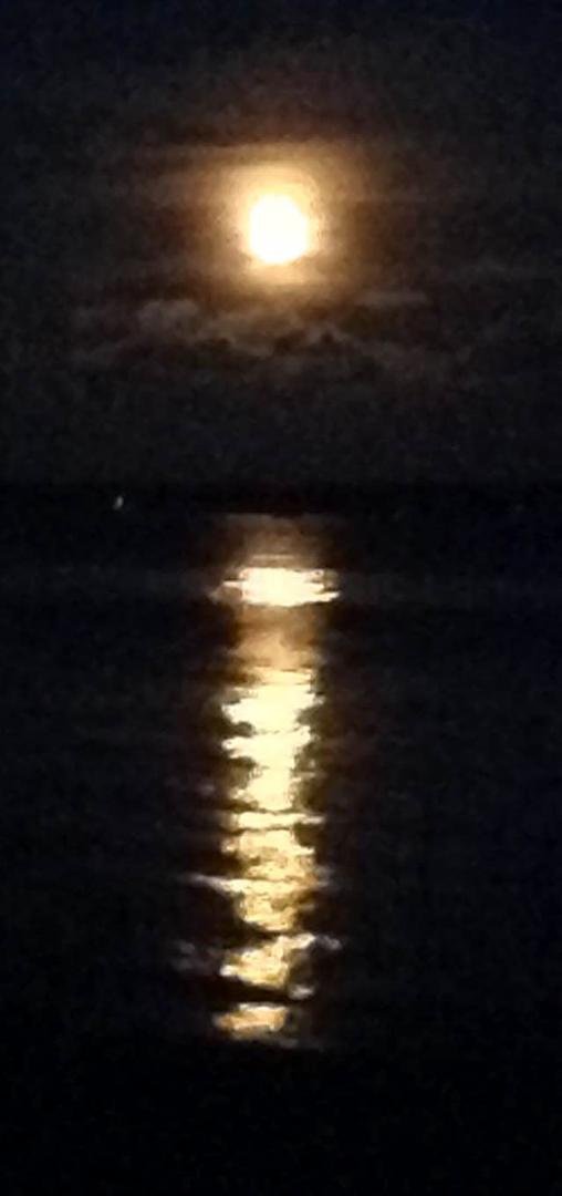 Laurie, I captured this last month.