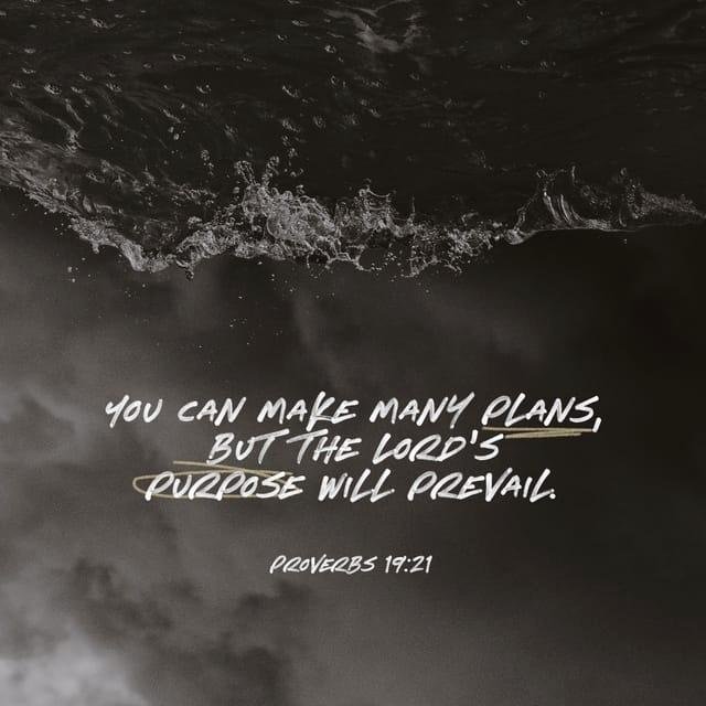 Diane Chaplik's album, Timeline Photos