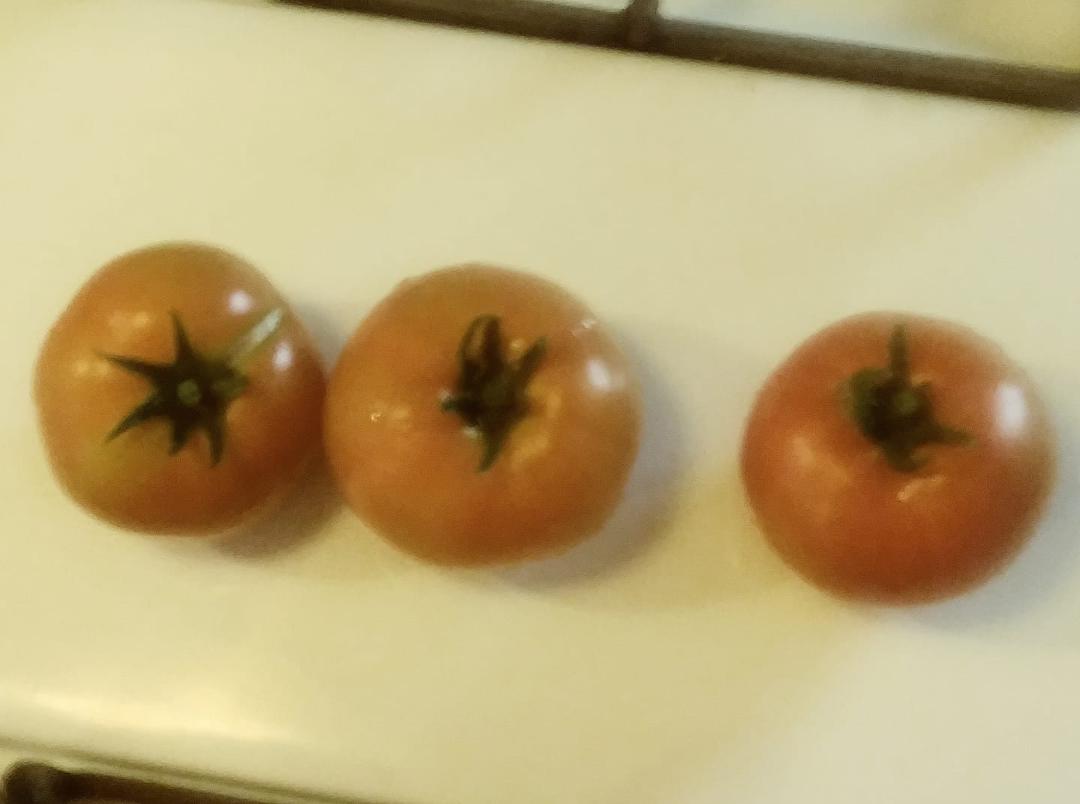 First maters of the season