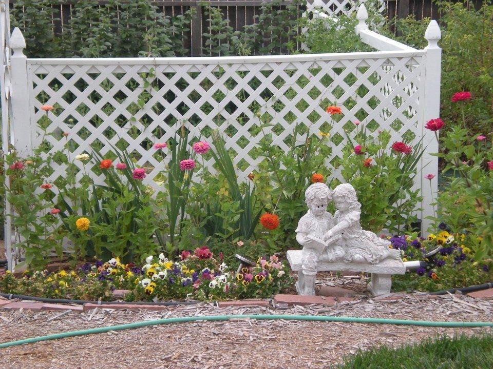 Alan Cunningham's album, our backyard  9-14-2011