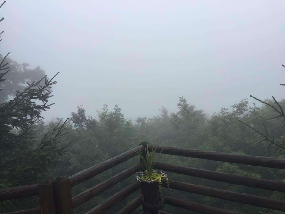 All socked in...this is the view from our deck on Sunday.