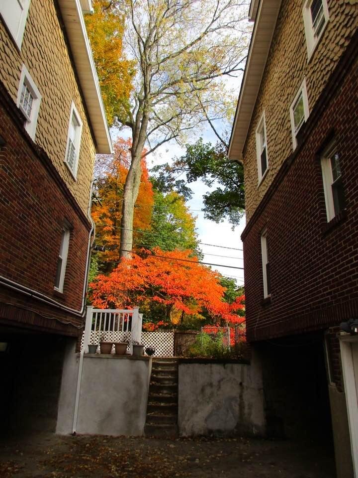 Another Days Journey: Morning in Montclair, Nj