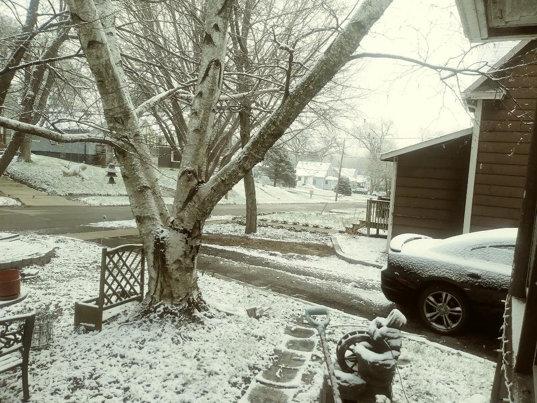 Woke up this morning and in the words of that famous Wiseman and scholor Gomer Pyle, surprise surprise. The neighbor hood was all white and after I believed in the weatherman when he said Des Moines might get a trace