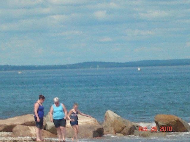 Searching for shells.