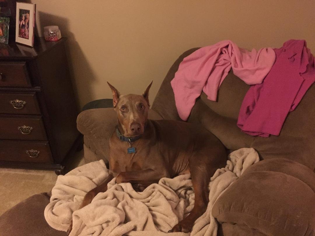 Randy Moeller's album, iOS Photos