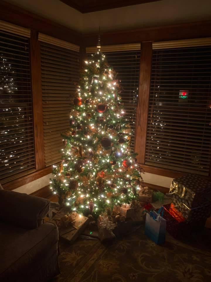Merry Christmas everyone. Tree shot compliments of my beautiful and talented daughter in law, Teresa Smrekar.