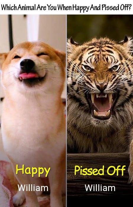 William Daw's album, Timeline Photos