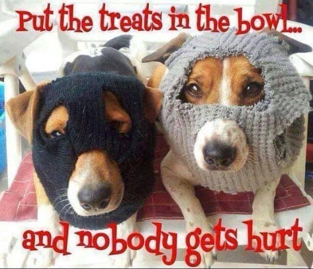 Happy Halloween!!! 👻 🎃
