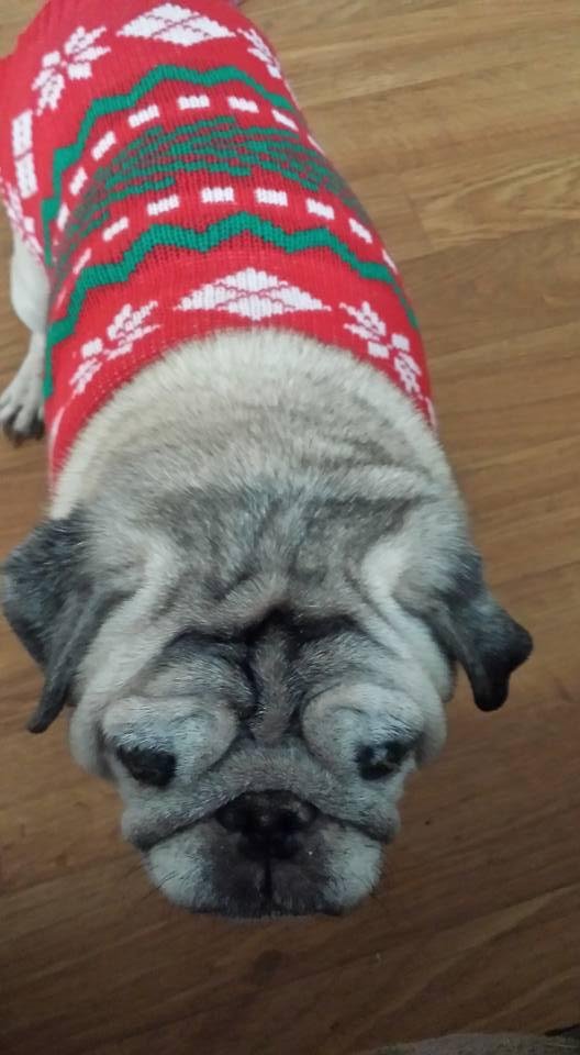Merry Christmas!