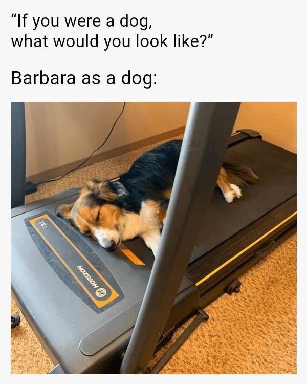 HA!