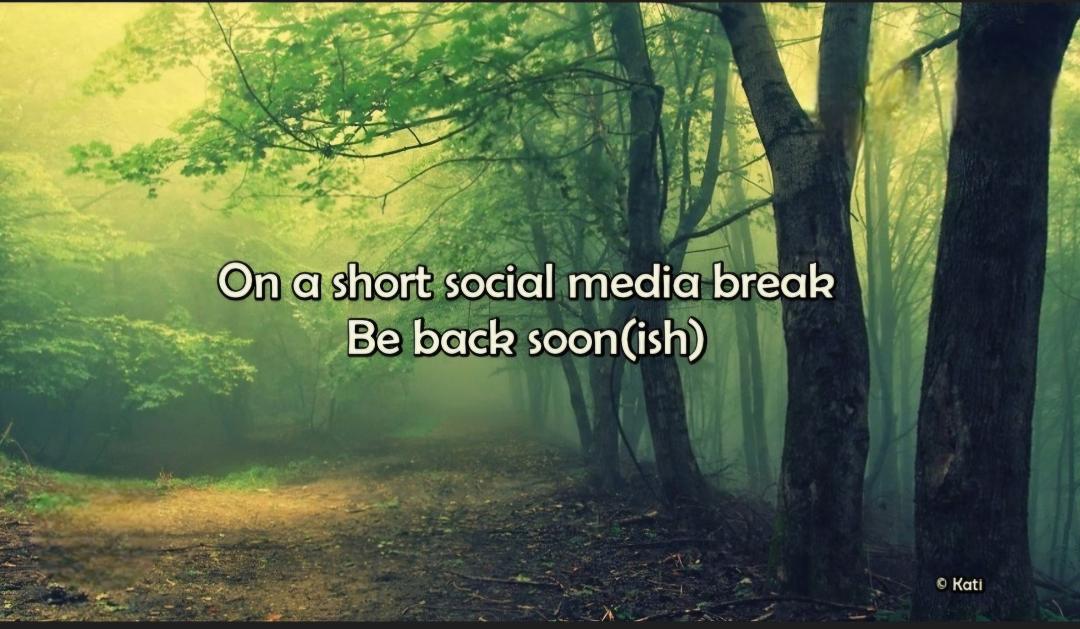 Lori Marchand's album, Mobile uploads