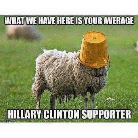 Jeff Everett's album, Timeline Photos