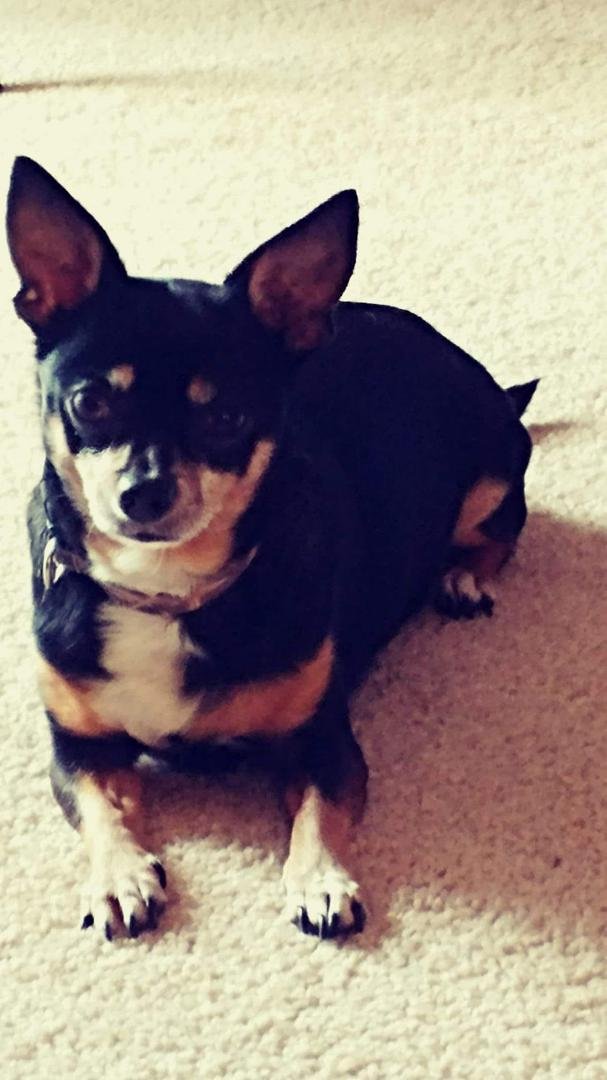 Happy 14th birthday Tyson