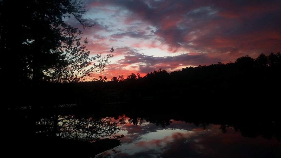 william cook's album, Mobile Uploads