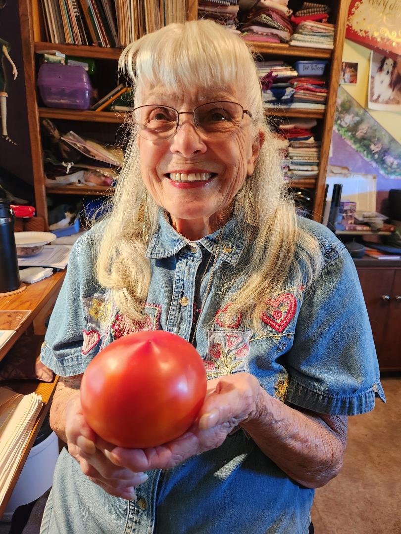 Well, This the very first "Shady Lady Tomato" that we got this year. So I will save the seeds to be able plant next year. Yahoo