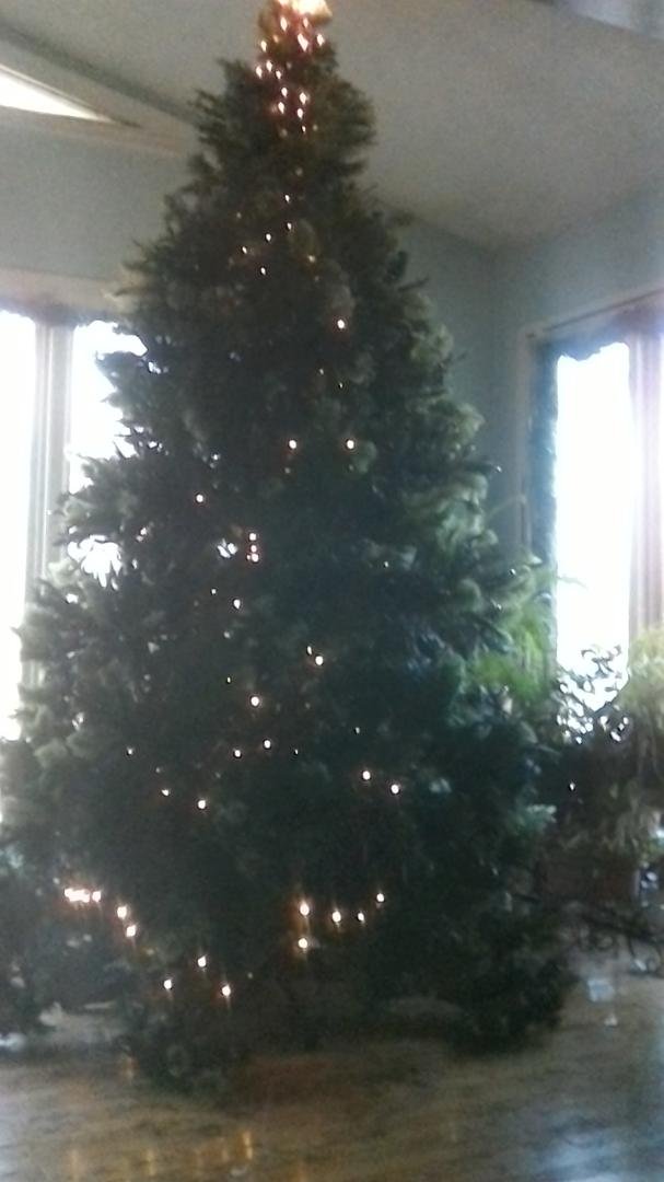 I have to share this. This tree has never had it's stand, l have had it for 12 years, l went to the store where Cindy works and I think it is the one that was made for it. I bought the tree from the same store when it was t