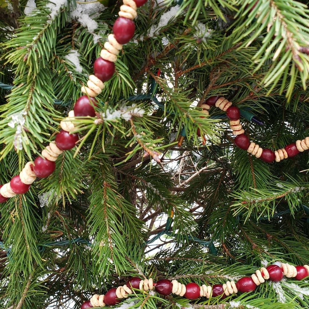 Cranberries and Cheerios garland