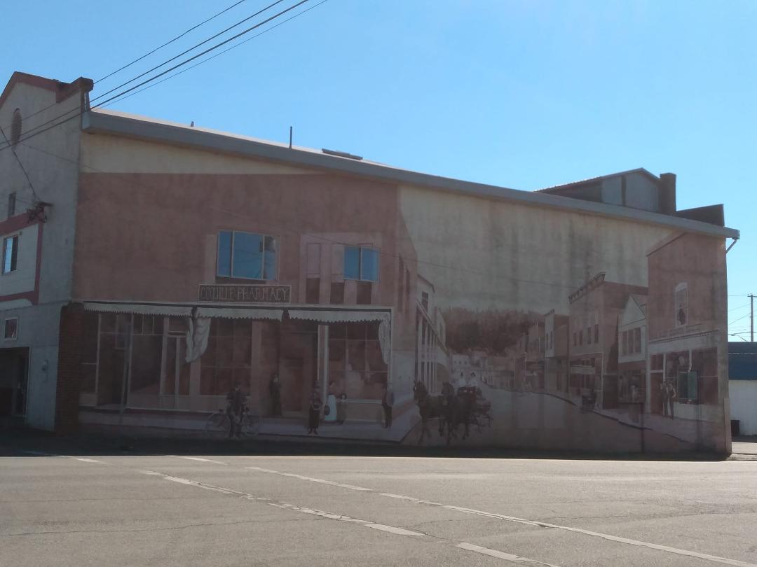 The mural which stayed for 35 years is no more. Lee Snider did a beautiful piece of work.