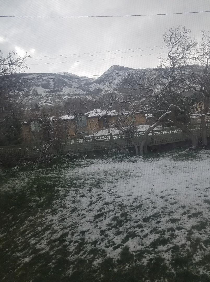 Looking out the window at the mountain across the street.