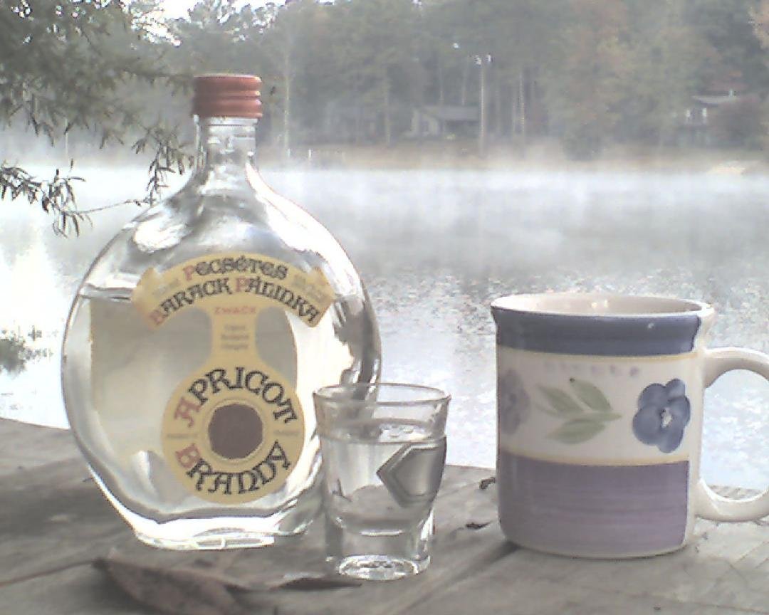 A little continental breakfast to to help with the fog this morning. Coffee and fruit. Good morning to all. Have a great weekend everyone.