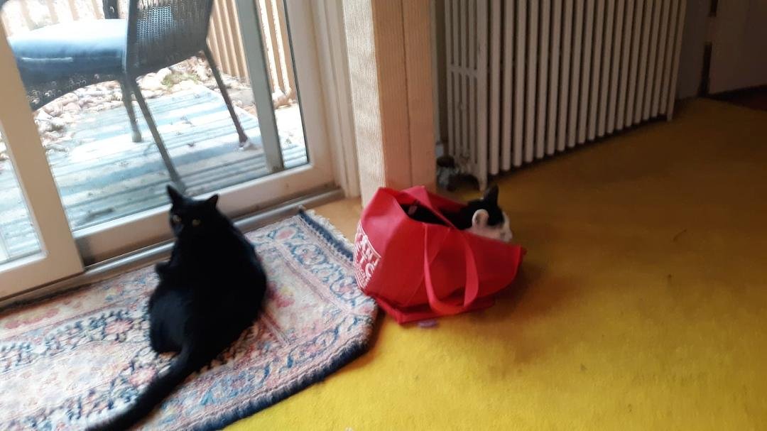 Sally and Jane waiting for Mr Squirrel
