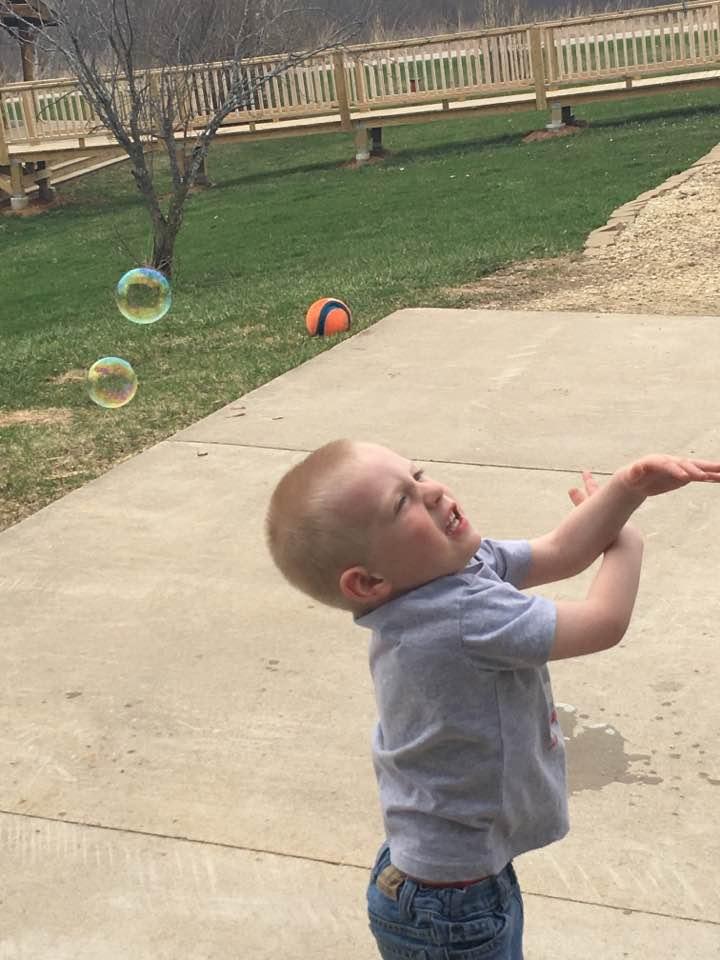 Robin Shepler's album, Timeline photos