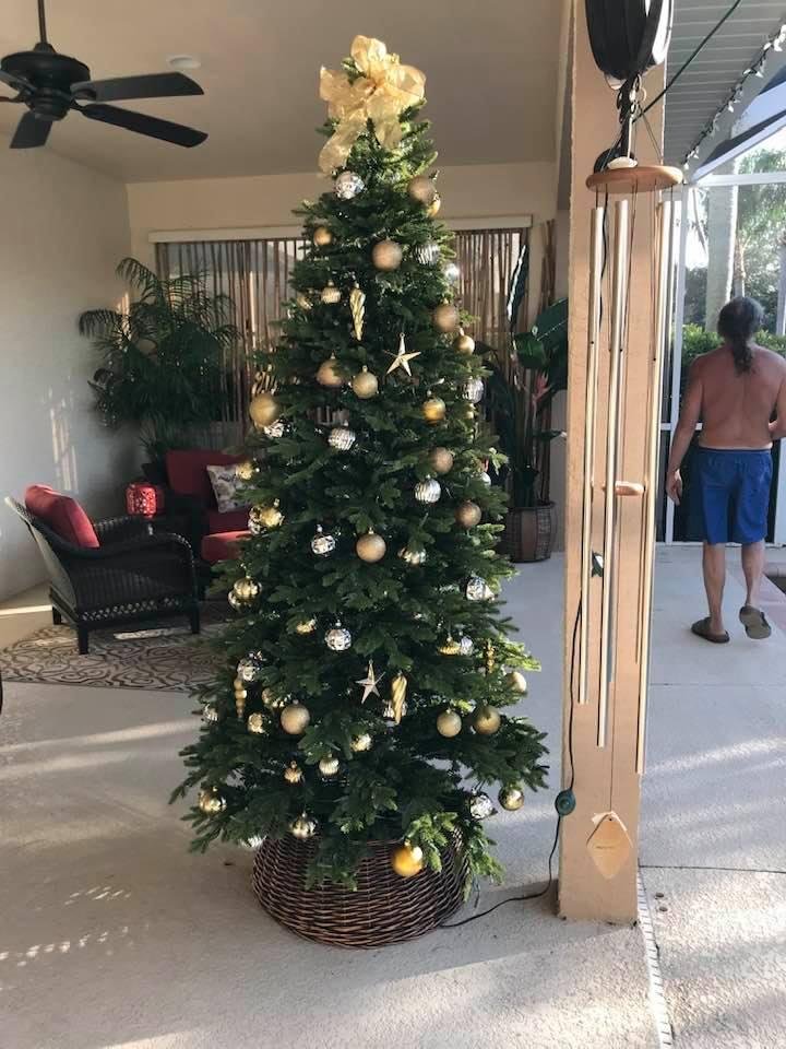 Penny's trees etc. 2019