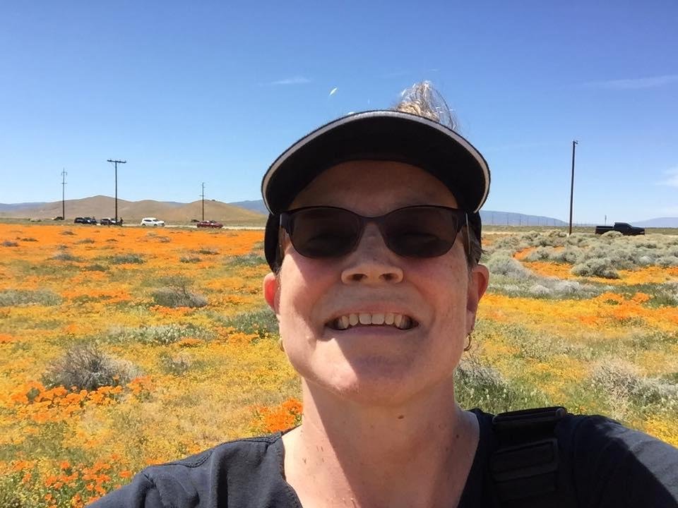 Jonet Leighton's album, Mobile Uploads