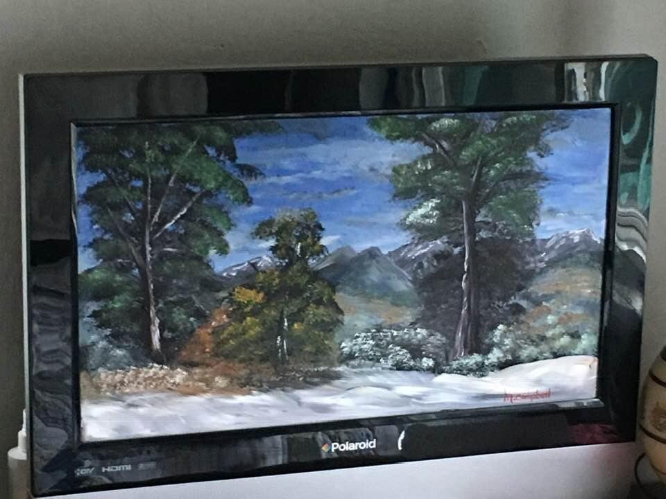 Fern Art work on an old tv