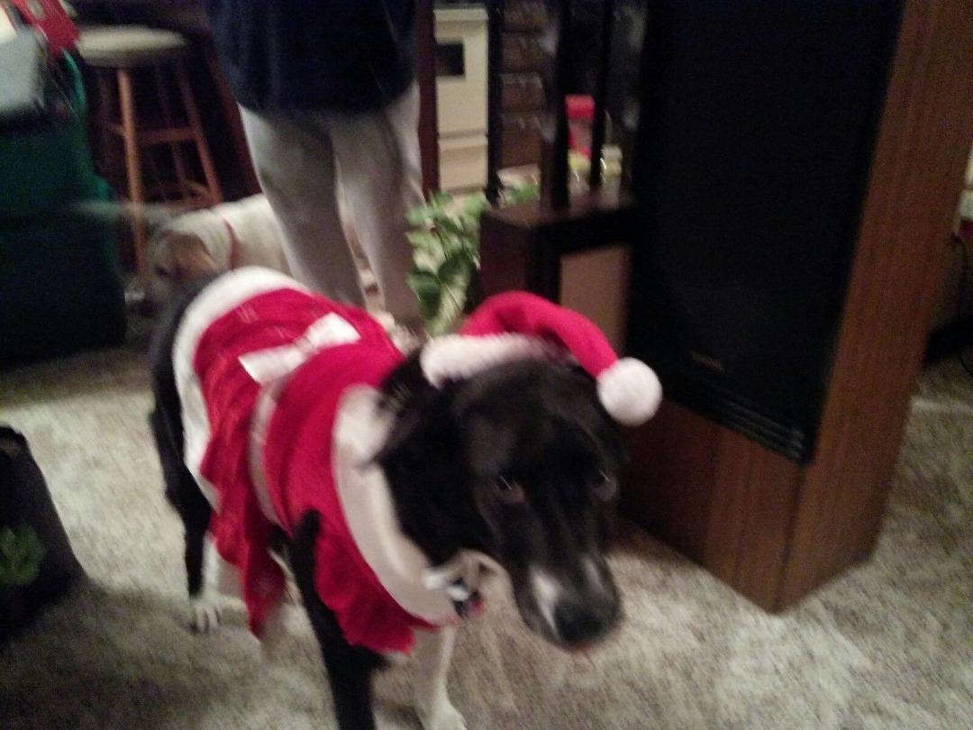 oh mom why are you doing this to me??