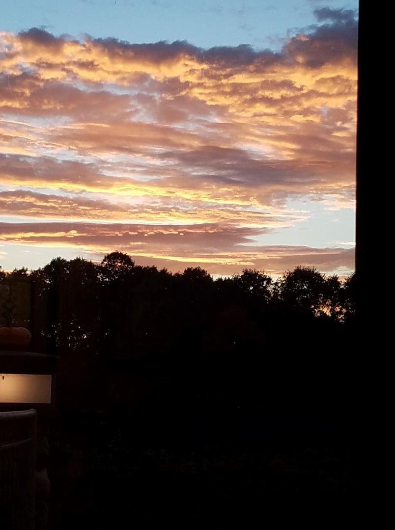 Pretty sunset