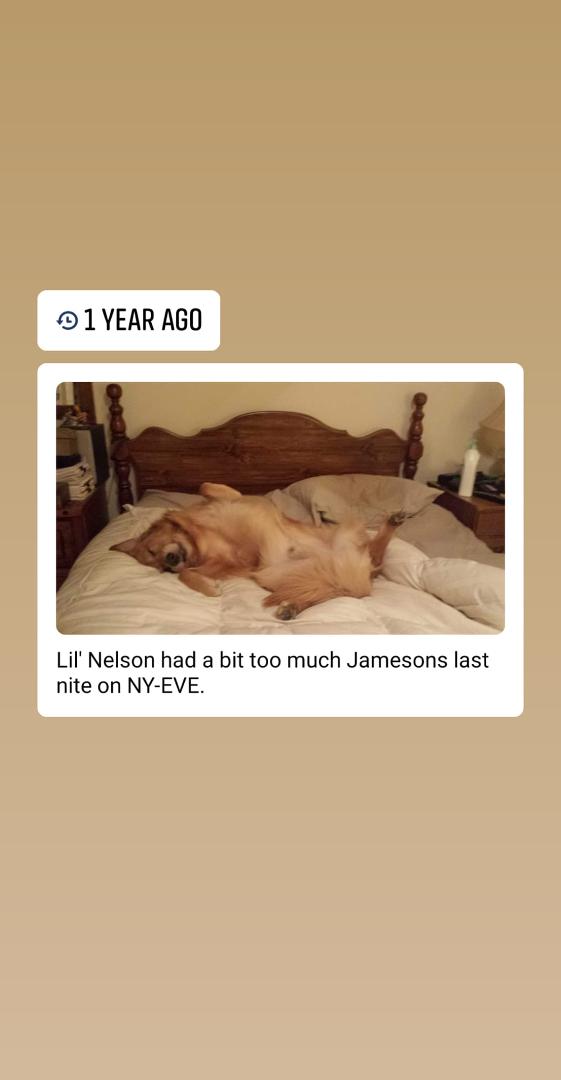 Dave Joyce's album, Mobile uploads